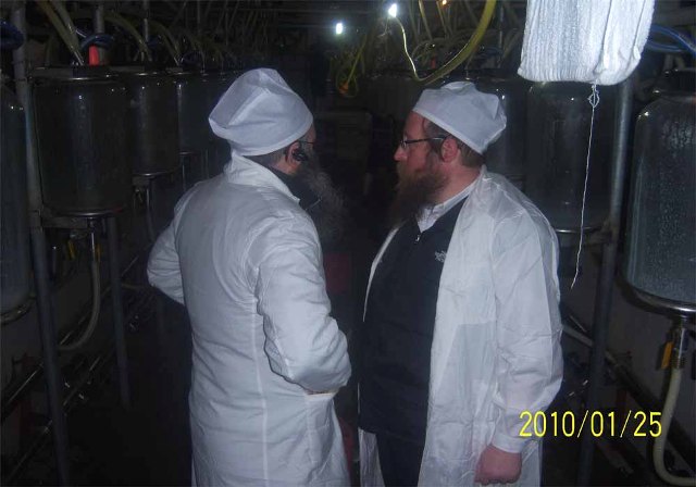 Rabbi Shimon Freundlich和Rabbi Akiva Osher Padwa在挤奶车间监督挤奶